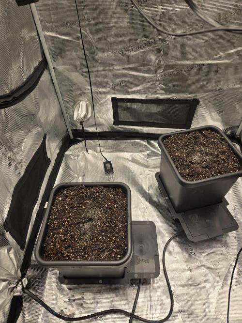 Fastbuds round 2. Week 0 - Autopots filled