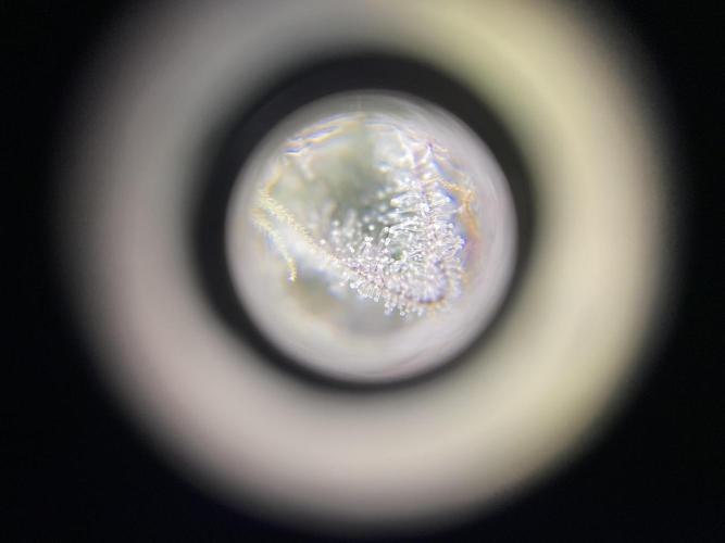 #1 - Northern lights fem. Week 11