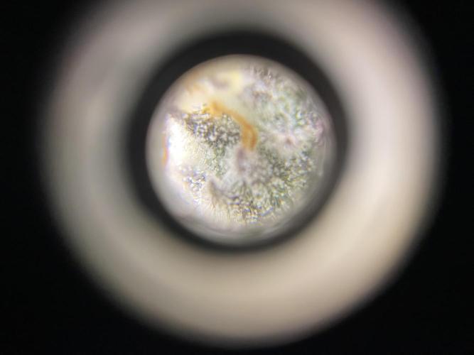 #1 - Northern lights fem. Week 11