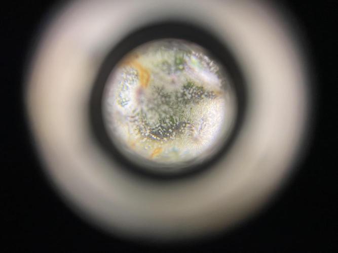 #1 - Northern lights fem. Week 11