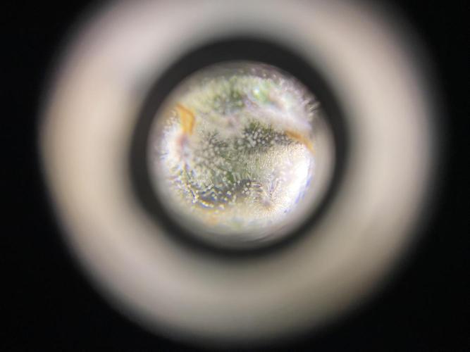 #1 - Northern lights fem. Week 11