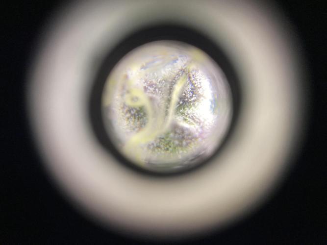 #1 - Northern lights fem. Week 11