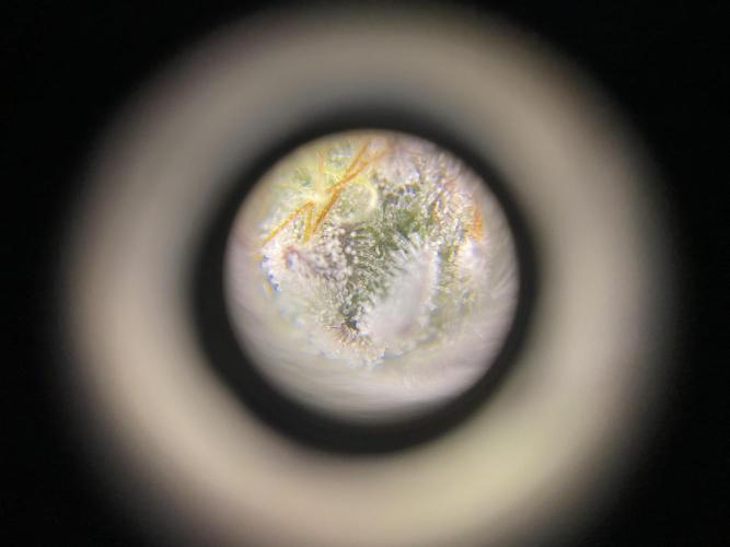 #1 - Northern lights fem. Week 13