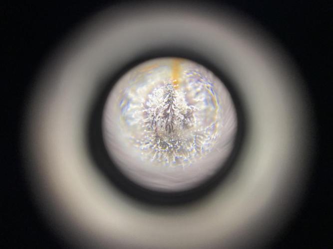 #1 - Northern lights fem. Week 13