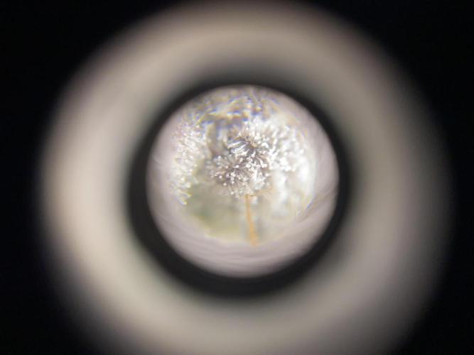 #1 - Northern lights fem. Week 13