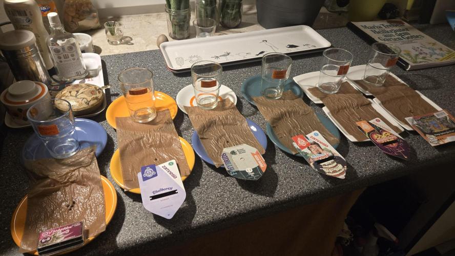 Winterseason 2025 .. only Automatics. Week 0 - 24 Stunden später die angequellten Samen in nasse Papiertücher gewechselt ...