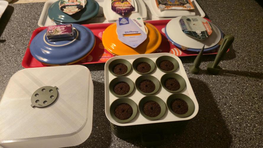 Winterseason 2025 .. only Automatics. Week 0 - Nach 24 Stunden kommen die Samen zum Anwurzeln in den "Starter"