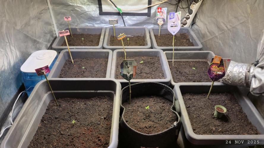 Winterseason 2025 .. only Automatics. Week 1