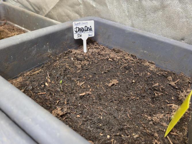 Winterseason 2025 .. only Automatics. Week 3 - Tag 1 - Dark Devil Auto