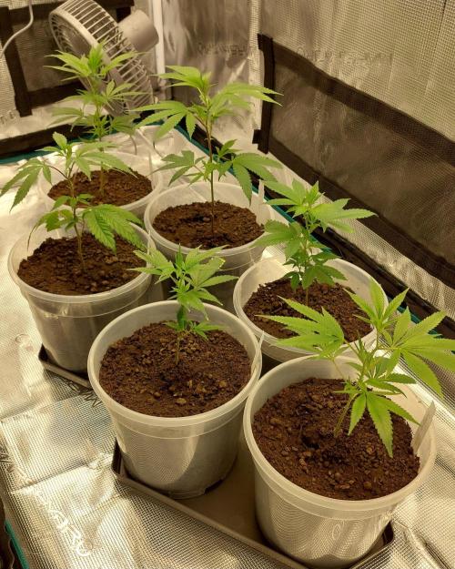 1. 2025-12-06. Week 1 - 10.12.25