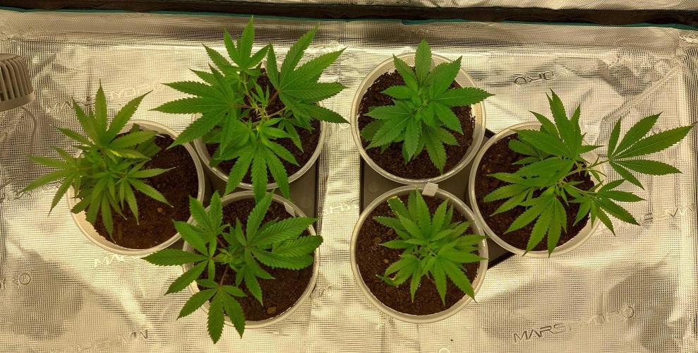 1. 2025-12-06. Week 2 - Topping Start Woche 2