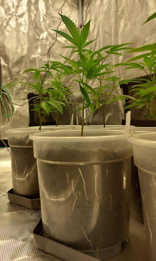 1. 2025-12-06. Week 2