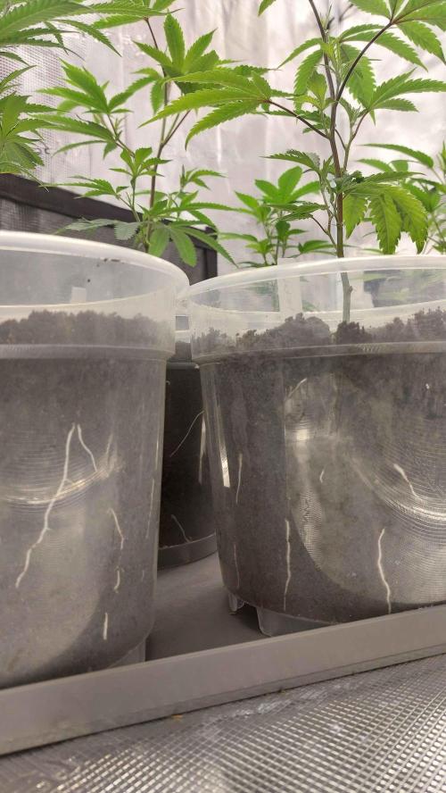 1. 2025-12-06. Week 2