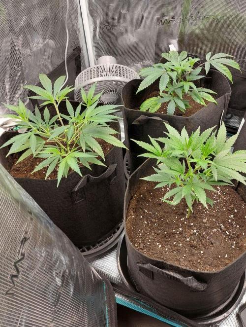 1. 2025-12-06. Week 3