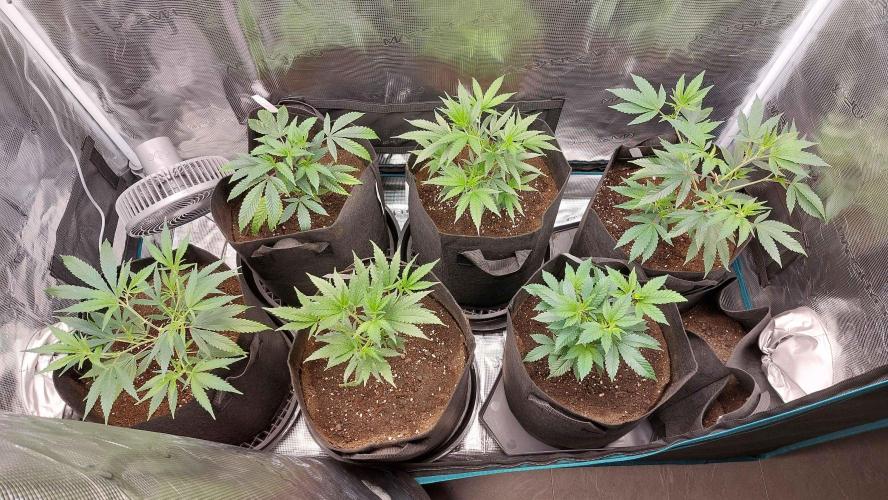 1. 2025-12-06. Week 3