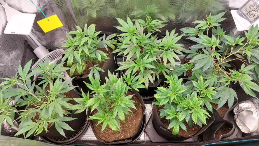 1. 2025-12-06. Week 3 - 27.12.