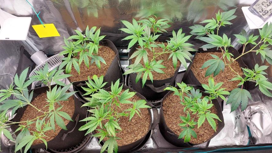 1. 2025-12-06. Week 4 - BT 0