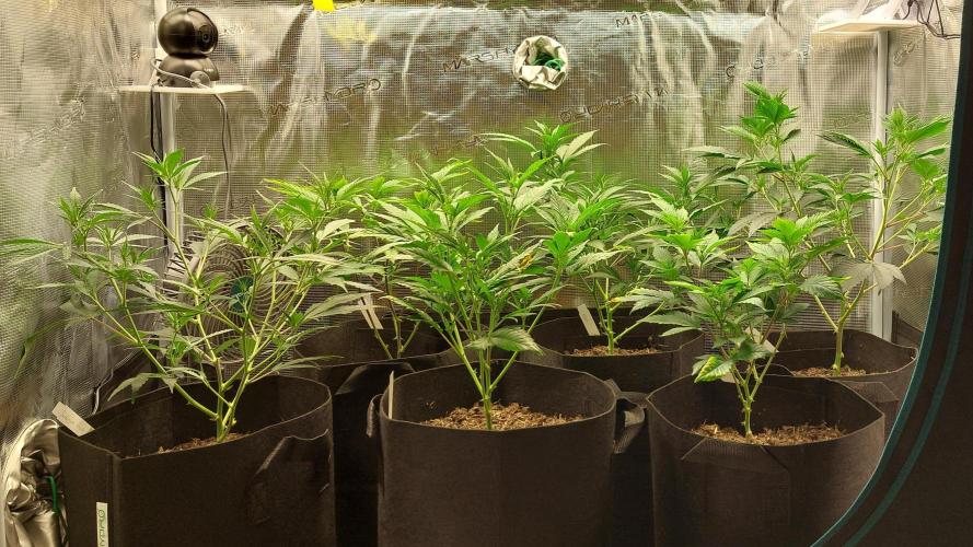 1. 2025-12-06. Week 4 - BT 7