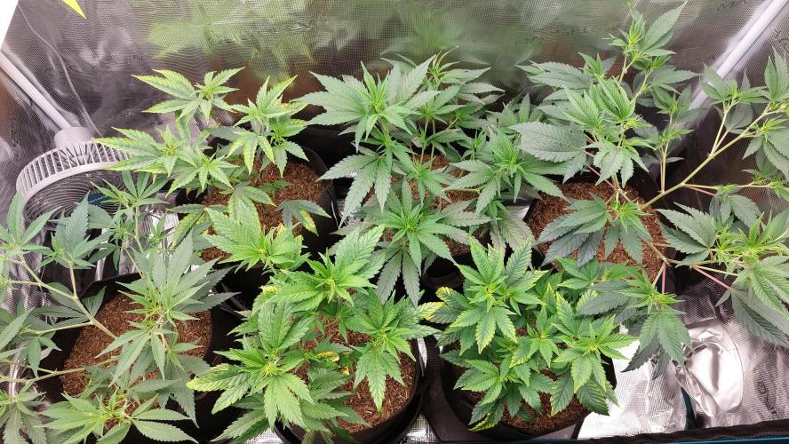 1. 2025-12-06. Week 4 - BT 7