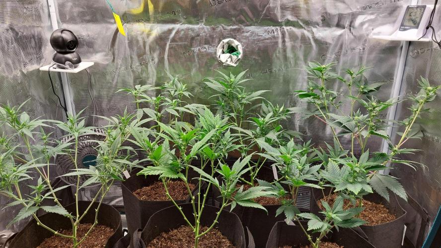 1. 2025-12-06. Week 5