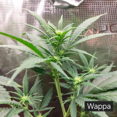 1. 2025-12-06. Week 5