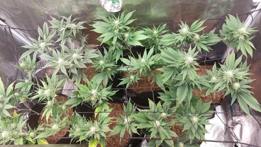 1. 2025-12-06. Week 7