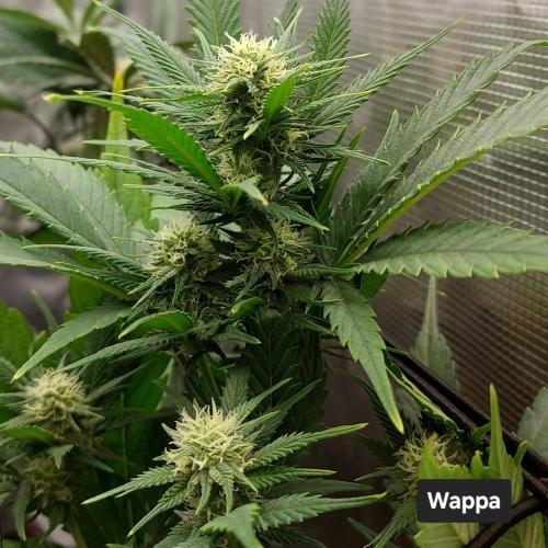 1. 2025-12-06. Week 7