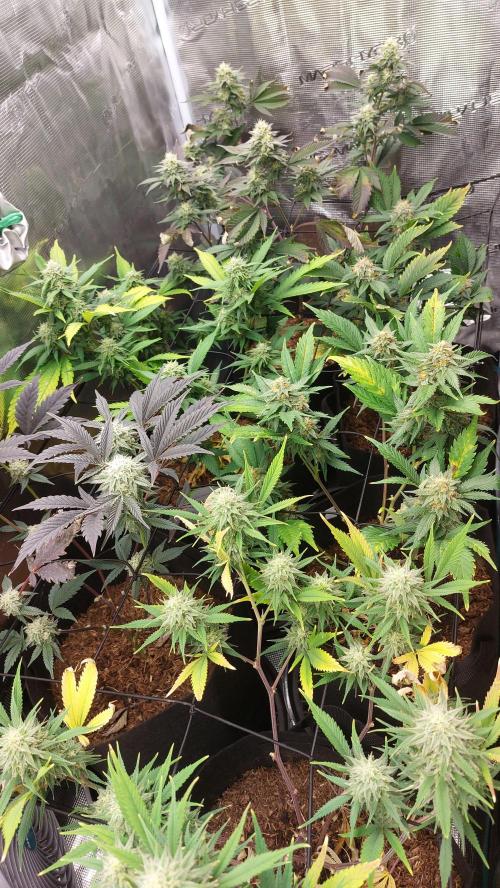 1. 2025-12-06. Week 9