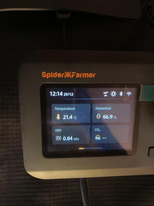 Cultivo indoor en coco .. Week 3 - Control Ggs 