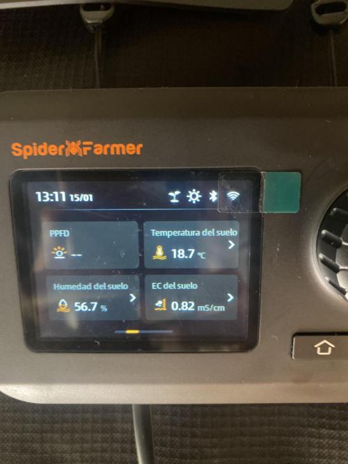 Cultivo indoor en coco .. Week 5