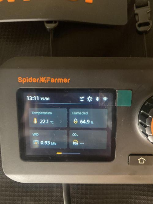 Cultivo indoor en coco .. Week 5 - Ambiente diurno 😃