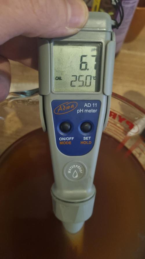 AnanaZ 🍍  and Carbon Filter X OG kush. Week 1 - Ph immer bei 6.6 - 6.7