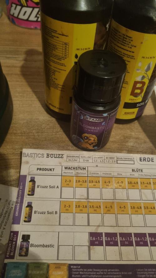 AnanaZ 🍍  and Carbon Filter X OG kush. Week 1 - ATAMI NUTRIENTS TEST 
With BLOOMBASTIC 
for AnanaZ 🍍 