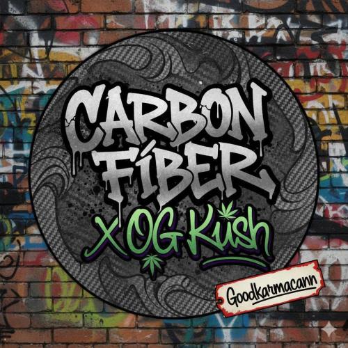 Criminal Seeds: Carbon Filter X OG kush. Week 0