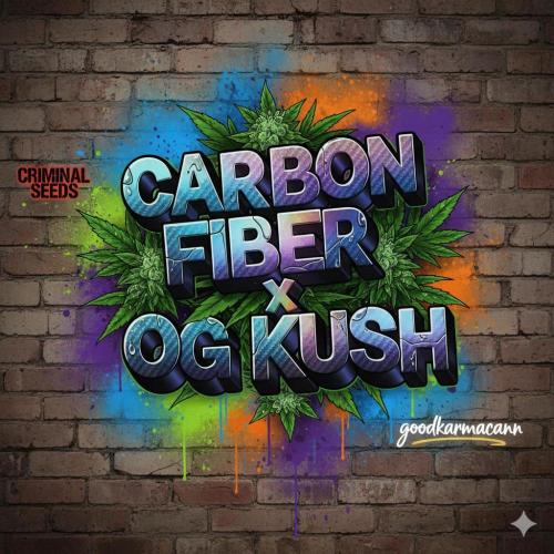 Criminal Seeds: Carbon Filter X OG kush. Week 0
