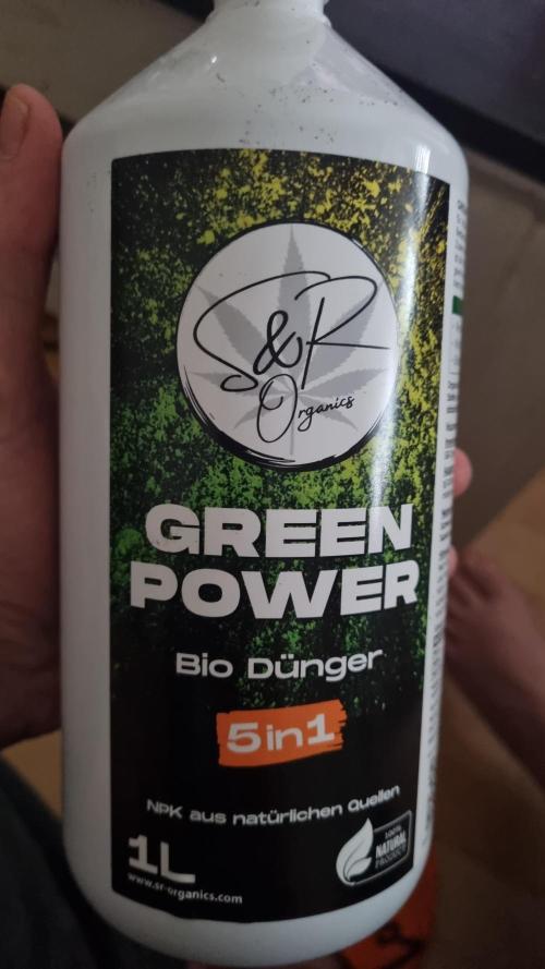 Criminal Seeds: Carbon Filter X OG kush. Week 2