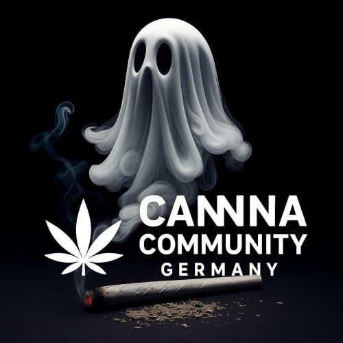 AnanaZ🍍 (will be my next addiction). Week 1