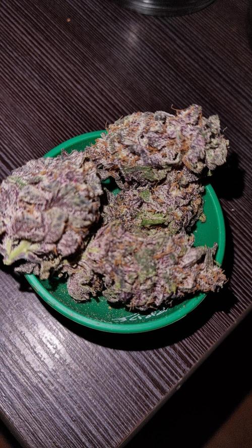 AnanaZ🍍 (will be my next addiction). Week 16