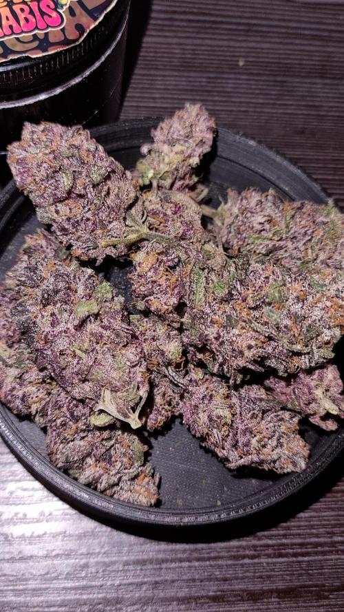 AnanaZ🍍 (will be my next addiction). Week 16