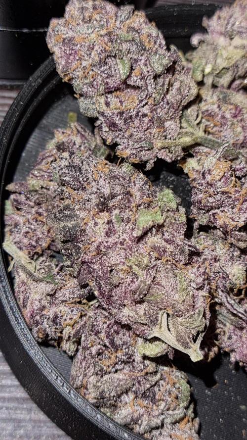 AnanaZ🍍 (will be my next addiction). Week 16