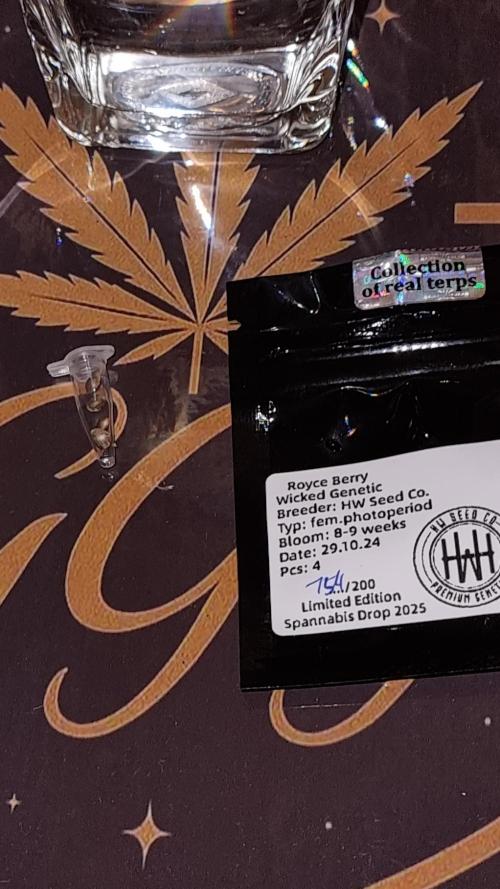 Royce Berry - Ganja Games Germany. Week 0