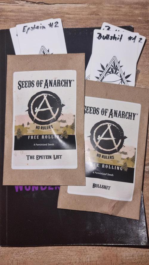Wunderbohnen - Seeds of Anarchy. Week 0