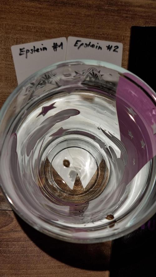 Wunderbohnen - Seeds of Anarchy. Week 0