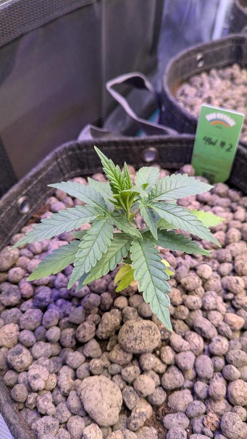 Royce Berry. Week 3 - HW2