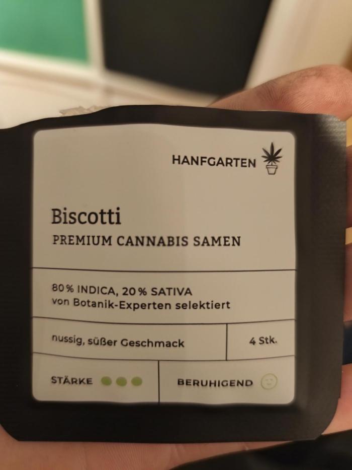 Biscotti Auto 🍭. Week 0