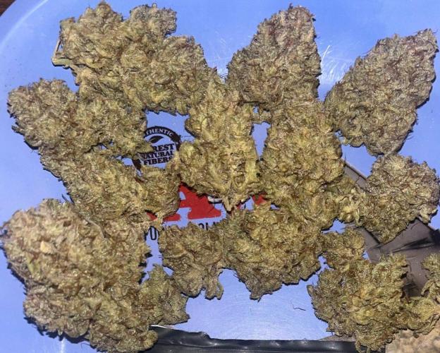 Drizl Pickl, FishyZoap, F.U.H Automatics. Week 12 - Trockene Buds