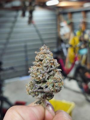 Comment by sKream photo #1