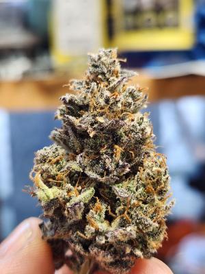 Comment by sKream photo #2