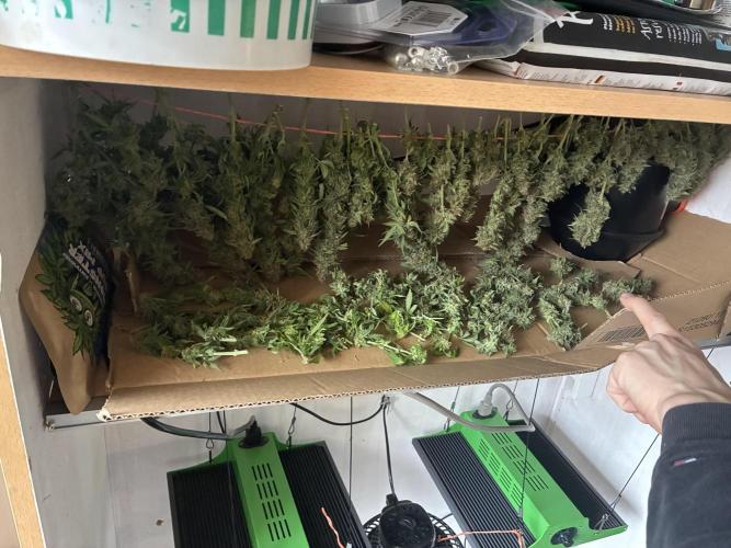 Wedding cake auto+milkywayf1 hybrid auto. Week 9 - Two girls together 🚀🚀🚀🚀🚀🚀🚀👌