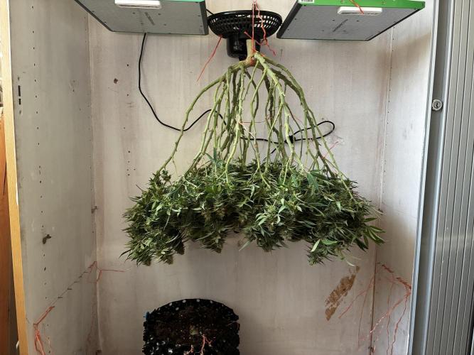 Milky way f1 hybrid auto but not auto xD. Week 7